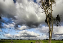 英格兰斩获重要胜利，欧预赛前景一片看好