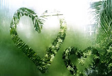 威尔士队实力强大，成功进军决赛