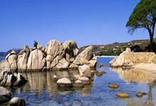 威尔士队实力强大，成功进军决赛