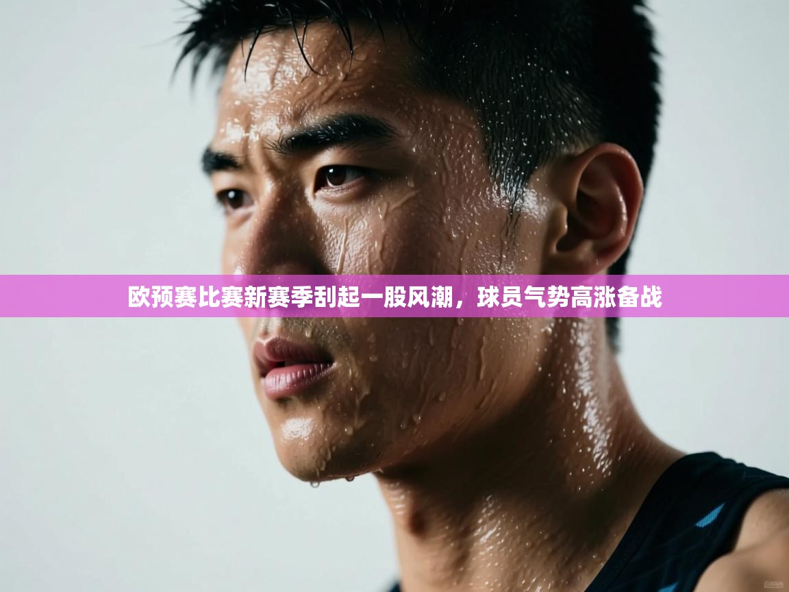 欧预赛比赛新赛季刮起一股风潮，球员气势高涨备战  第2张