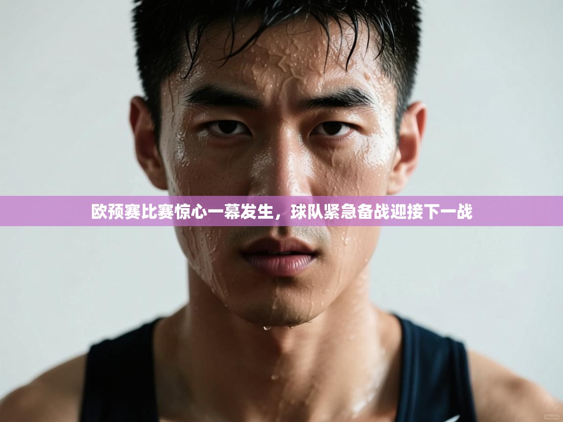 欧预赛比赛惊心一幕发生,球队紧急备战迎接下一战 第2张